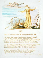 Dann war Thel erstaunt..., Platte 6 aus Das Buch Thel, 1789
